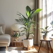 © Cloudyew - Rear view of simple plant setup in soft and natural lighting