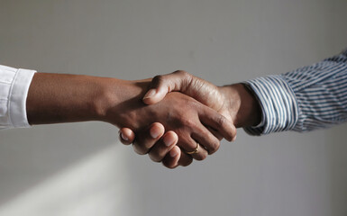 A close-up photo of two hands engaged in a handshake, set against a clean, white background