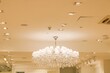 © Darya - Beautiful chandelier with exquisite lampshades on the ceiling