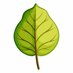 peepal leaf