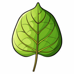 peepal leaf