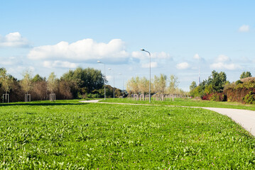 green park on the river bank in the background river and blue sky