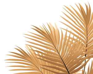 Wall Mural - PNG Palm leaves backgrounds outdoors pattern.