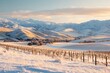 © William - Serene winter landscape with snow-covered hills and vineyards at sunrise