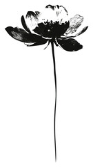 Wall Mural - PNG Flower simple daisy black.