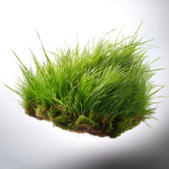 patch of grass floating or flying isolated white background