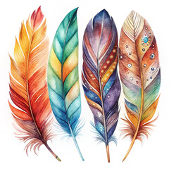 Wall Mural - feathers on white background