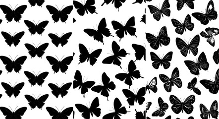 Poster - black butterflies isolated on a white background. decorative fly insects print graphic design. today