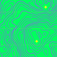Leinwandbilder - Topographic map background concept in brutalism and Y2K style