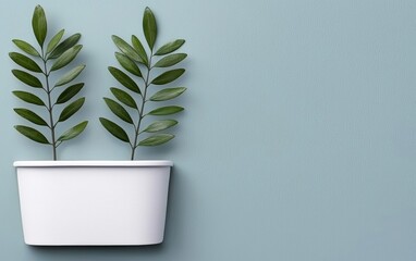 A modern potted plant with vibrant green leaves against a soft blue background, perfect for home decor and nature-themed designs.