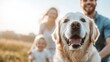 © JoxyAimages - This joyful image captures a family and their happy dog in a close-up shot, evoking love and connection as they bask in a sunlit, peaceful field on a warm, bright day.