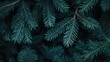 © GenZGraphics - Christmas themed banner background featuring a close up of green fir tree branches Offers copy space with a stylish moody dark toned design perfect for winter holiday themes