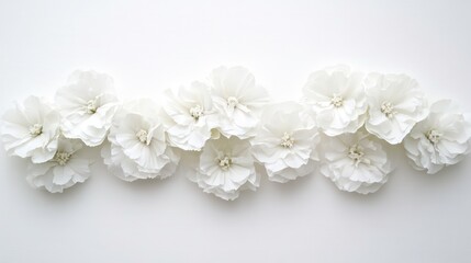 Poster - White flowers are arranged in a row on a white background