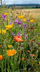 Wall Mural - Vibrant wildflowers in bloom amidst idyllic countryside scenery