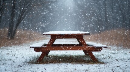 Wall Mural - Snowy picnic table in the woods