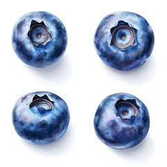 Aufkleber - Set of blueberry berry isolated on white with clipping path