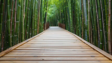  Serene Bamboo Pathway, an elevated wooden walkway meanders through a lush bamboo forest, offering a tranquil escape into nature's vibrant greenery and soothing ambiance.