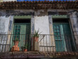 © Designpics - Residential balcony with decorative plants and a weathered facade; Funchal, Madeira, Portugal