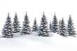 © Isuru - Fir trees with snow on beautiful natural snowdrift with white background