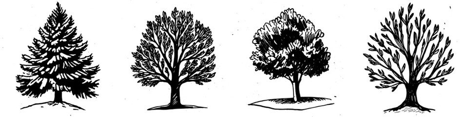 Wall Mural - Black and white illustration of an abstract tree in continuous line art style.