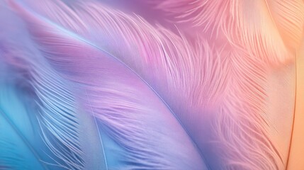 Poster - Vibrant pastel hued feather background Close up vertical shot of soft colorful feathers Minimalistic abstract design with room for text