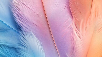 Poster - Vibrant pastel hued feather background Close up vertical shot of soft colorful feathers Minimalistic abstract design with room for text