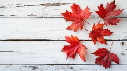 Poster - Red maple leaves on a rustic white wooden surface Contemporary minimalistic design for greeting card with ample copy space
