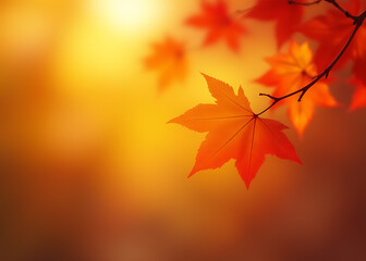 Poster - Autumn web banners feature soft focus red and yellow maple leaves against a bokeh background in warm seasonal lighting.