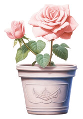 Canvas Print - PNG Stone rose flower plant pot.