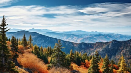 Poster - Pine forest on mountain ridge with colorful autumn foliage and clear skies