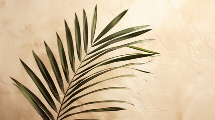 Aufkleber - Softly lit palm leaf against a neutral light background