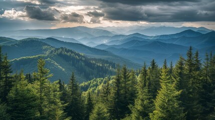 Poster - Stunning mountain vista with dense forests and a cloudy horizon