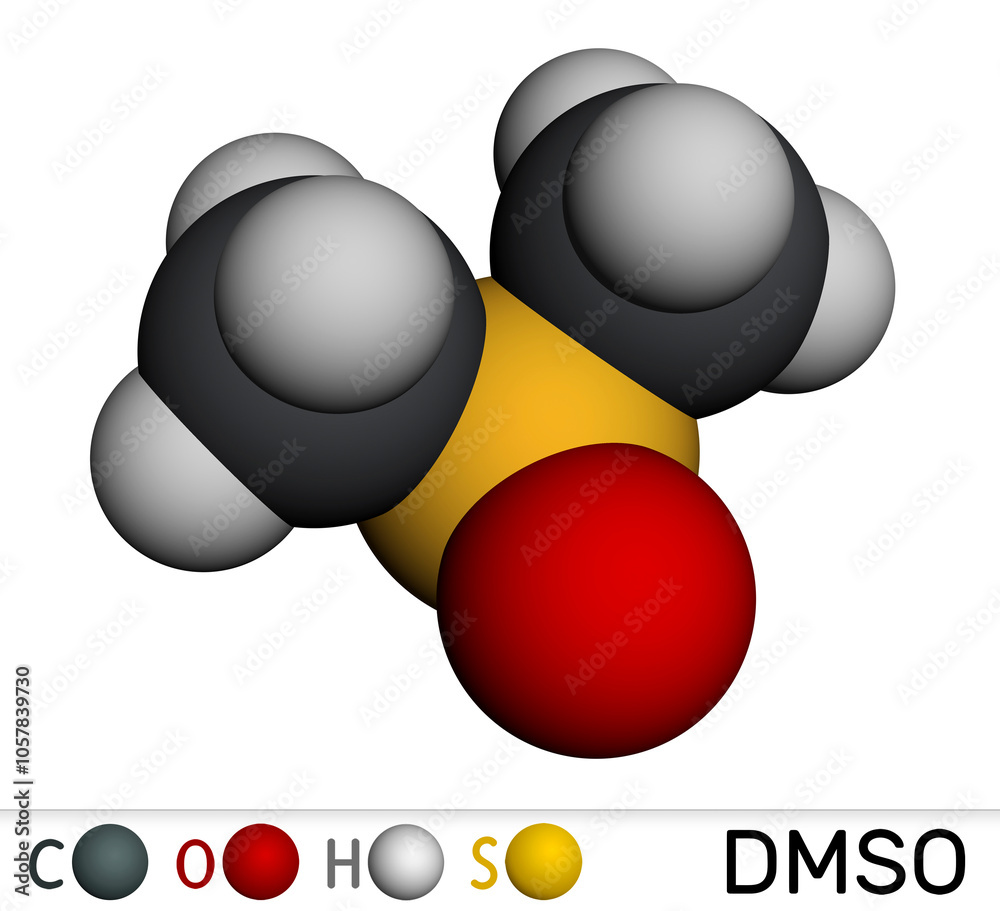 Coenzyme A, CoA, SHCoA, CoASH molecule. Essential coenzyme in fatty
