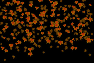 Wall Mural - Use transparency mode. Pattern of autumn leaves falling gently on a black background. Vector illustration. 