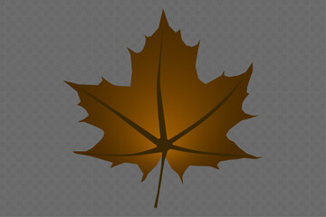 Wall Mural - One autumn leaf on a transparent background. Leaf for background and creating different bright autumn backgrounds. Vector illustration