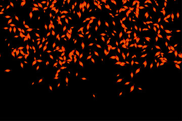 Wall Mural - Vector illustration. Autumn leaves of different colors and sizes. Beautiful falling leaves on a black background. Isolated colorful leaves on a transparent background. 