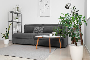 Wall Mural - Interior of modern stylish living room with sofa, shelving unit and different houseplants