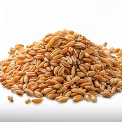 pile of wheat grains isolated on transparent or white background