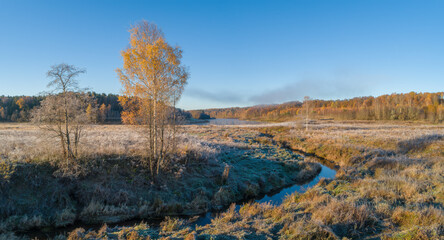 Poster - A autumn field with a river running through it and a tree in the foreground. The sky is blue and the sun is shining