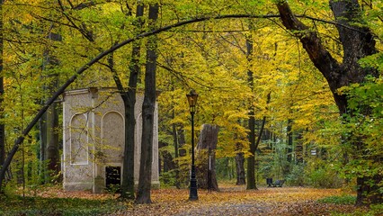 Wall Mural - colorful, golden leaves autumn in the park