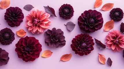 Poster - A striking layout features deep red and delicate pink dahlias surrounded by autumn leaves on a soft pastel backdrop, showcasing the beauty of nature in a harmonious blend of colors and textures.