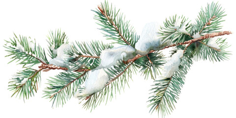 Wall Mural - PNG Pine branches snow illustration watercolor.