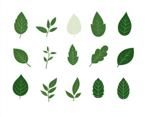 Green leaf icons isolated on a white background, designed as simple shapes in a flat color style, suitable for eco-friendly product packaging or natural brand logo templates.