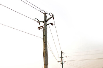 Telephone poles and wires