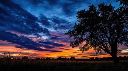 Wall Mural - Dramatic Sunset Over Fields with Silhouette of Tree