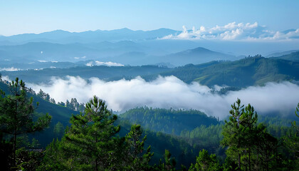 Fog in nature, beautiful natural scene view of fog in the forest with landscape by AI generative.