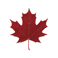 Red Maple Leaf Isolated on White Background