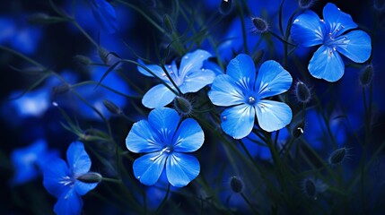 blue flax flowers blooming in a vibrant meadow on a sunny day, with delicate petals and slender gree