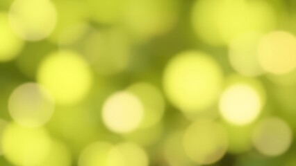 Poster - Soft green bokeh background with glowing circles. Bright and airy abstract design