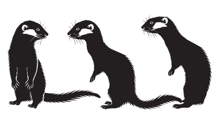 Wall Mural - Ferrets silhouette isolated in White background